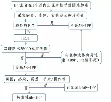 鐘南山-肺-肺康復(fù)-特發(fā)性肺纖維化-肺炎-間質(zhì)性肺炎-間質(zhì)性肺纖維化-IPF-AE-IPF-HRCT-GGO