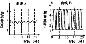 蘇炳添-9秒83-亞洲飛人-田徑-百米賽跑-奧運(yùn)-2020奧運(yùn)-東京奧運(yùn)-呼吸肌-呼吸訓(xùn)練-腹式呼吸-呼吸頻率-吹氣球-呼吸訓(xùn)練器-呼吸峰流速儀-亞洲最快